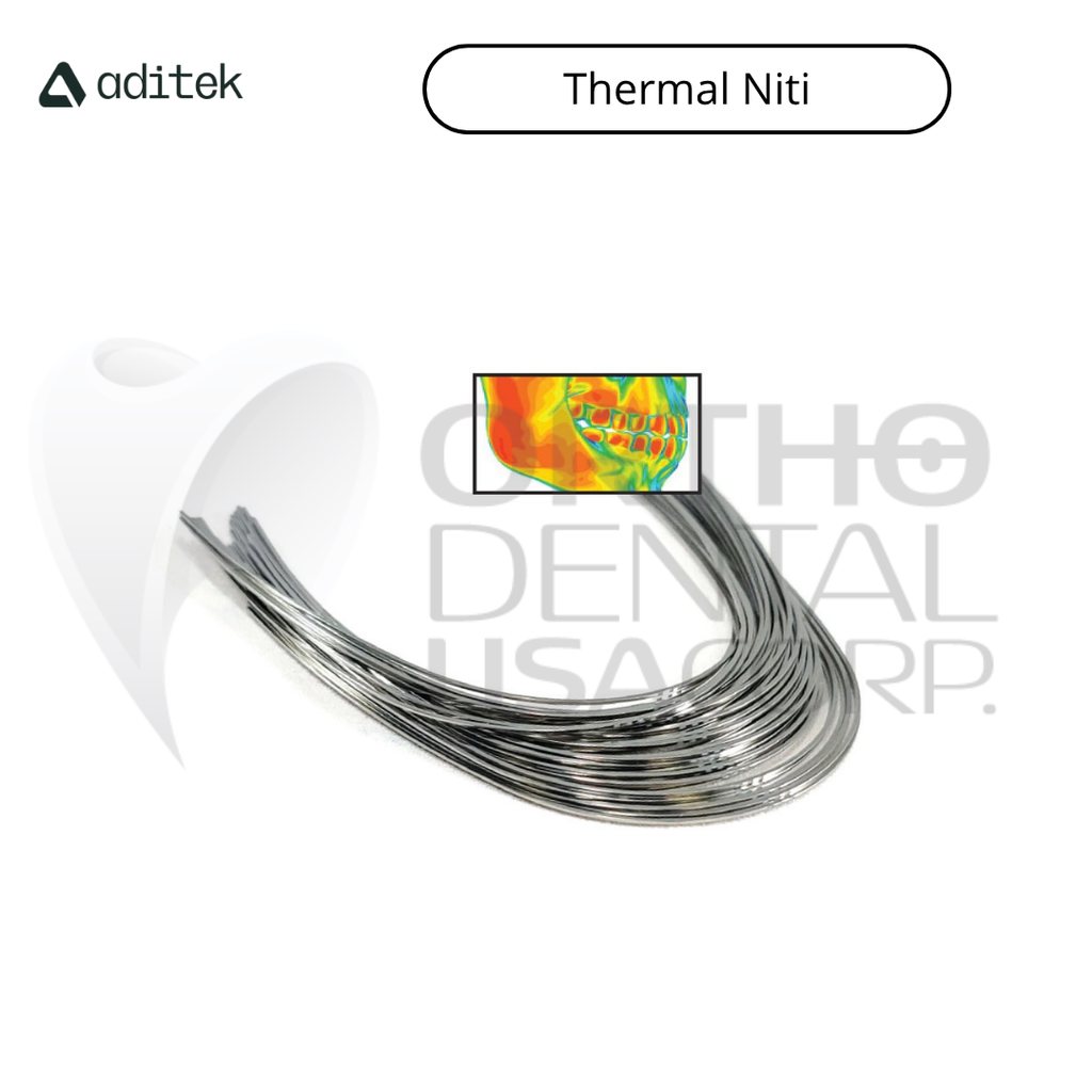 Thermal Niti Archwire Natural Upper 016×016 w/10 09.16.0566