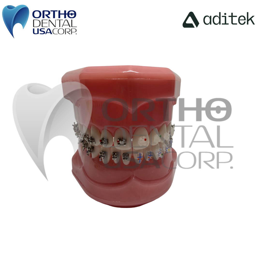 Model for Study with self ligating Brackets 7×7 EasyClip+ Passive 022 MBT Hk 3,4,5 w/28 pcs Vector+, BioMax, Ceramic Translux, Sapphire Aditek 00.02.0005