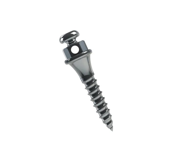 TADS Orthodontic Mini Screw - 2pcs