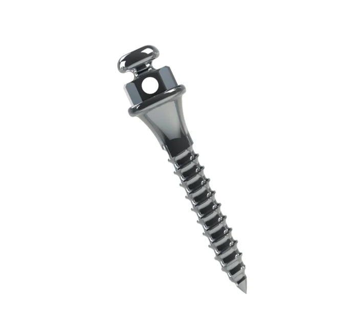 TADS Orthodontic Mini Screw - 2pcs