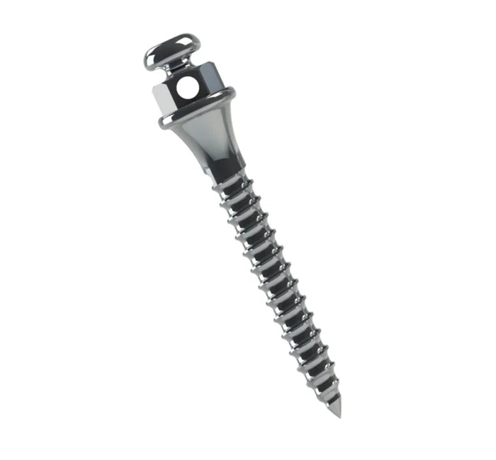 TADS Orthodontic Mini Screw - 2pcs