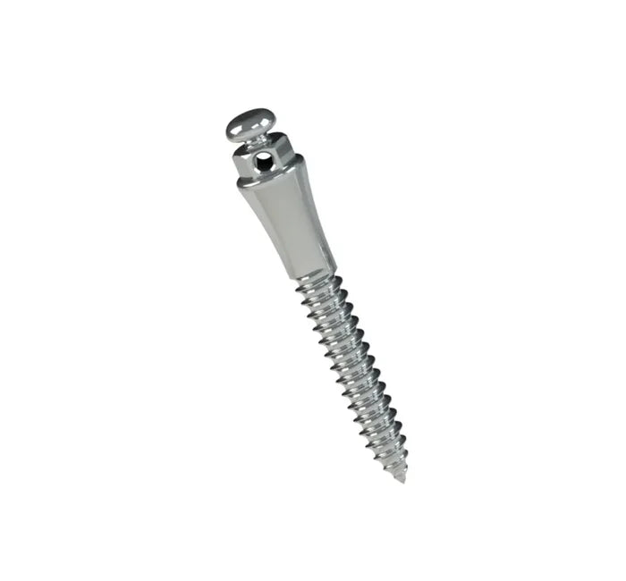 TADS Extrarradicular Orthodontic Steel Mini Screw