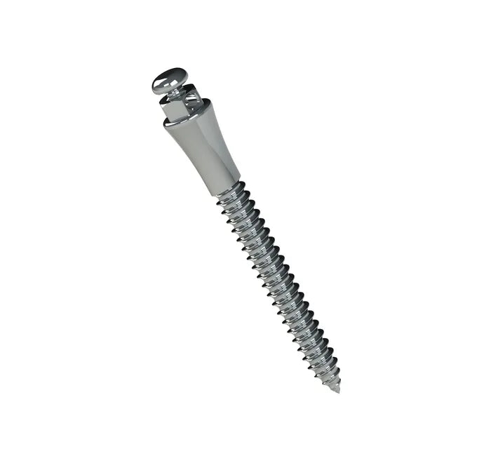 TADS Extrarradicular Orthodontic Steel Mini Screw