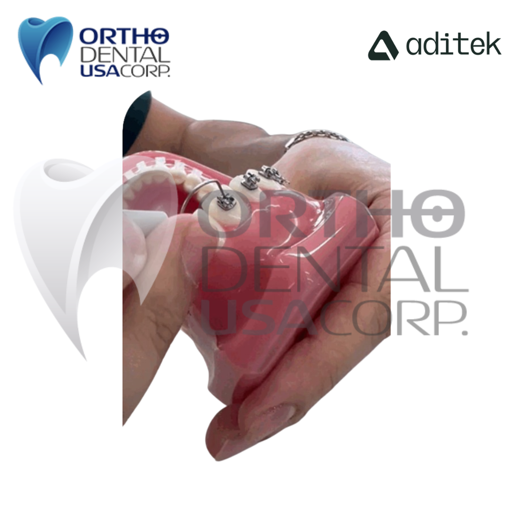 Model for Study with self ligating Brackets 7×7 EasyClip+ Passive 022 MBT Hk 3,4,5 w/28 pcs Vector+, BioMax, Ceramic Translux, Sapphire Aditek 00.02.0005