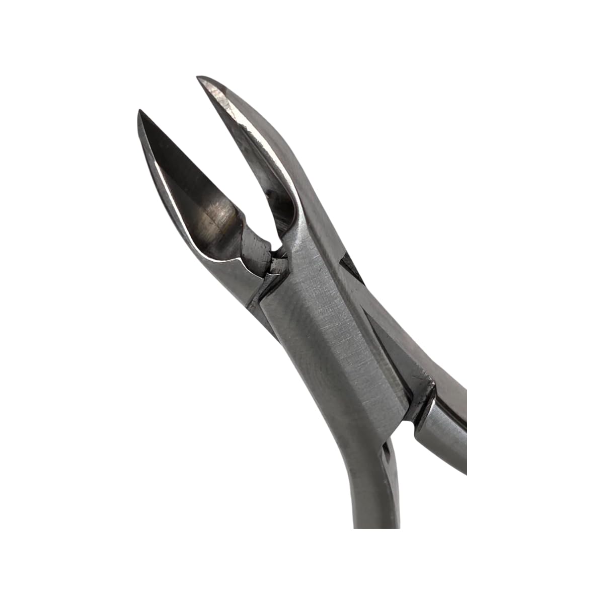 Set x 5 Orthodontic Mini Ligature & Pin Cutters – Slim Beak - Compact and Lightweight Build/One-Year Warranty - Made for The USA by Premium Orthodontics - Orthodentalusa Corp.