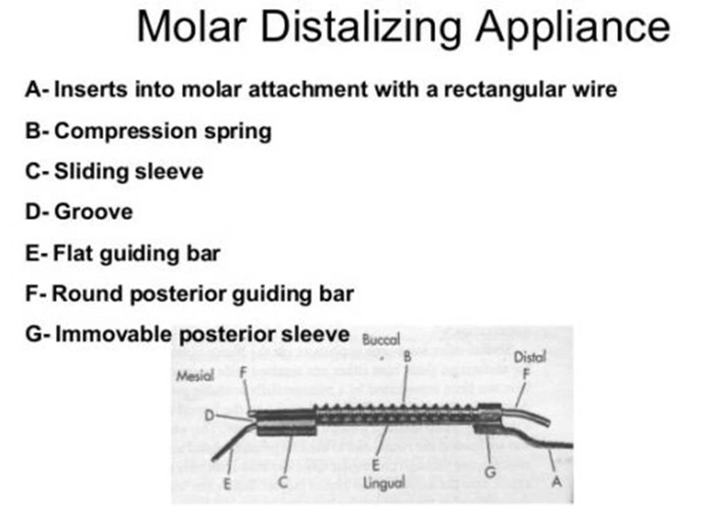 Dental Orthodontic Appliance Spring Molar Pusher Distalizer Expansion Spring with Lingual Sheats Ref:&nbsp; Vip-EMPRC
